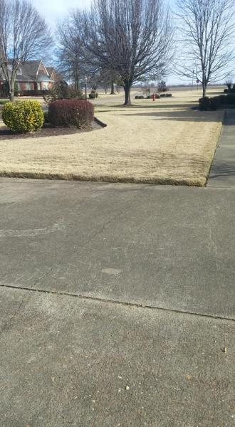 With our edging services, we can create defined definition between your concrete surfaces and lawn. 
