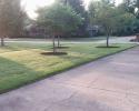 We help keep your lawn beautiful and neat with our lawn care services! 