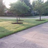 Keep Your Lawn Beautiful! 