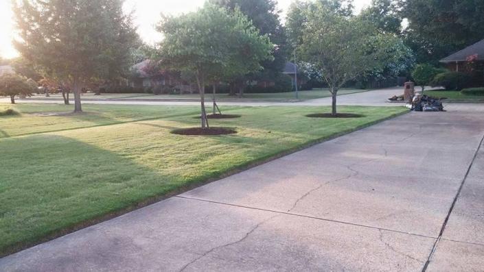 We help keep your lawn beautiful and neat with our lawn care services! 