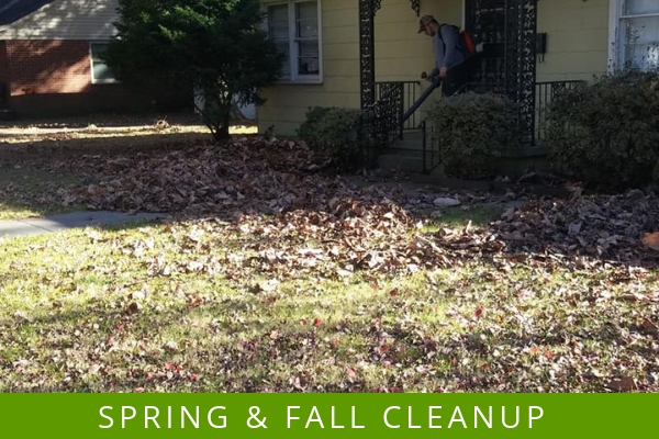 Spring and Fall clean-up services