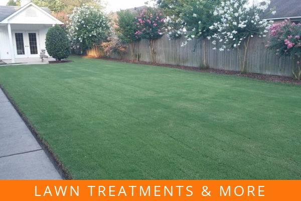 Lawn treatments & more