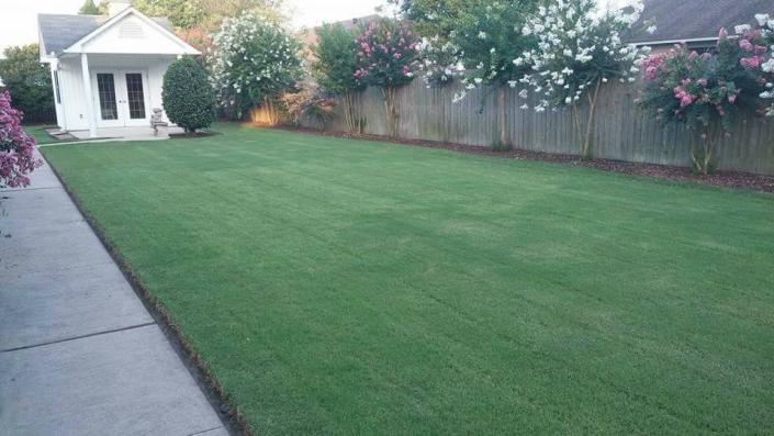 Let us mow your lawn on a weekly or bi-weekly basis! 