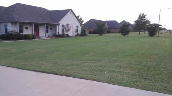 When you choose us for your lawn care needs, you get a stunning lawn that is sure to be the envy of the town! 