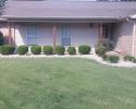 Give your lawn a uniform appearance with our hedge trimming services. 