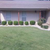 Trimming Hedges 