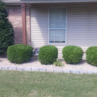 Landscaping Services 