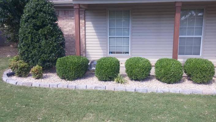 We offer expert landscaping services that go above and beyond! 